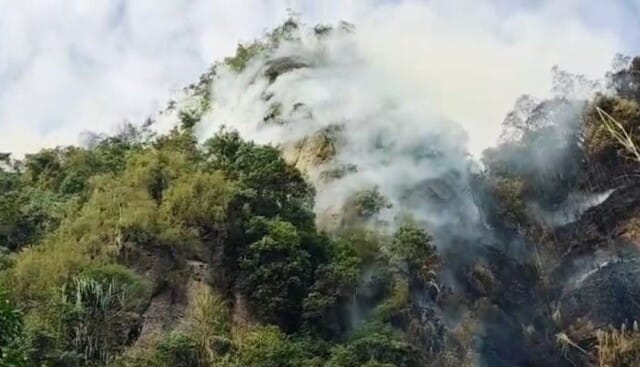 Kebakaran Hutan di Tarantang Limapuluh Kota, Api Mengarah Ke Puncak, Akses Sulit di Jangkau